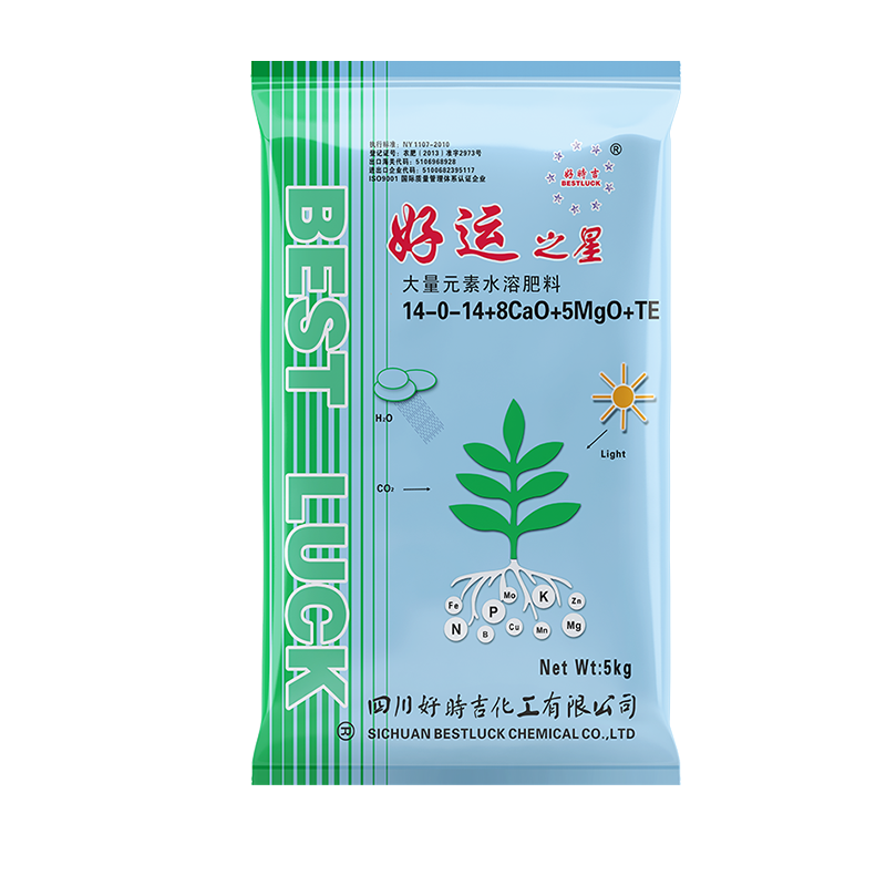 �طN�}�V��