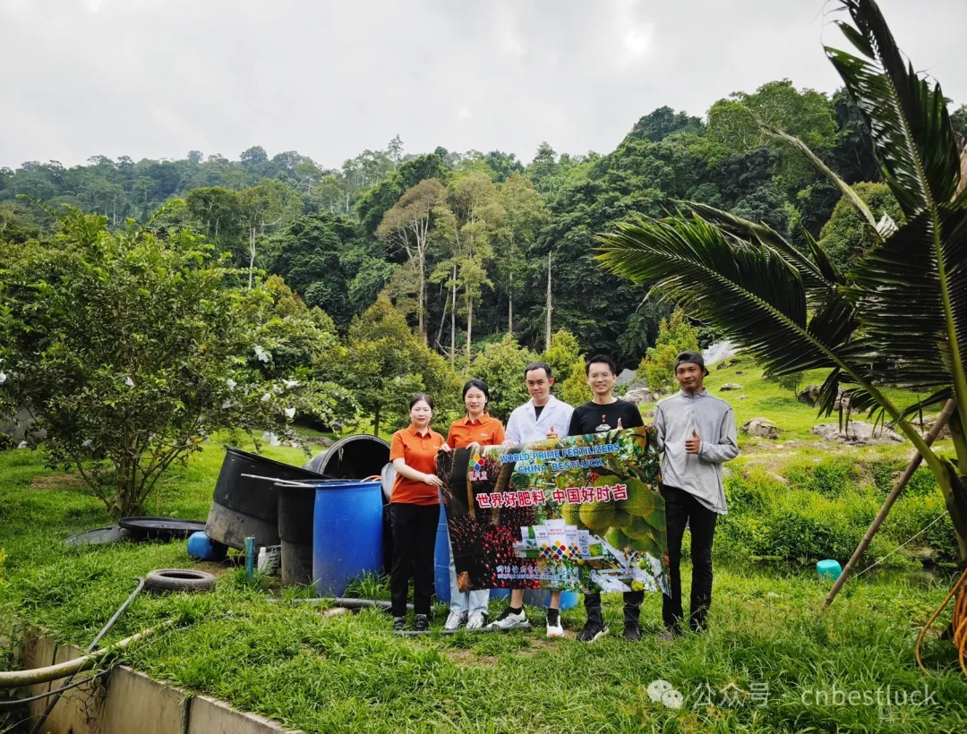 Use Cases in Malaysia