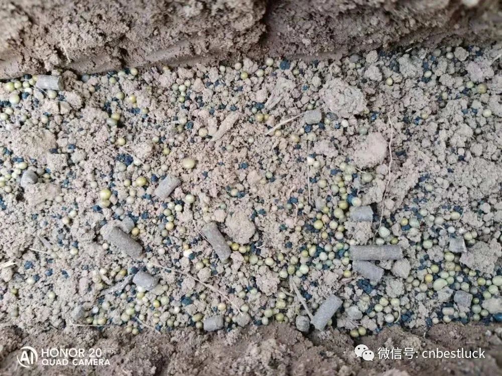 ���r�M����Ч���ܸܵ���