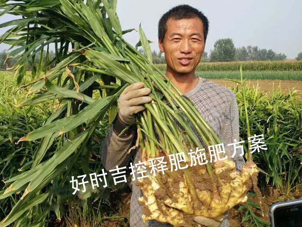 ���r(n��ng)�M����Ч���ܸܵģ�