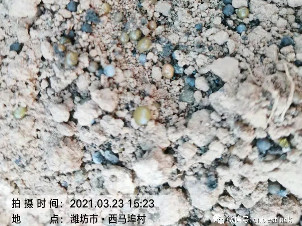 ���r�M����Ч���ܸܵ���