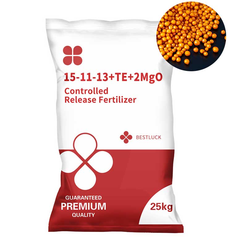 CRF 15-11-13+TE+2MgO