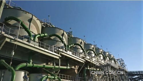 深化六個引領，建設一帶一路精品工程——礦冶集團南非PMC浮選廠總承包項目建設紀實