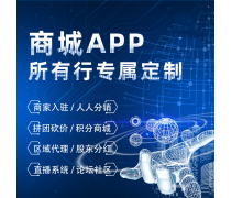 系統(tǒng)軟件開發(fā)與軟件系統(tǒng)定制開發(fā) 驅(qū)動(dòng)企業(yè)數(shù)字化轉(zhuǎn)型的雙翼